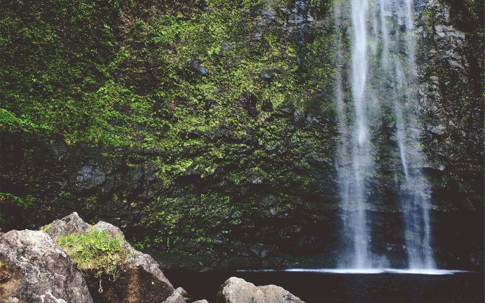 Máquinas & Inovações Agrícolas Ed. 53